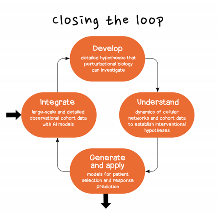 Closing the loop with AI in drug discovery