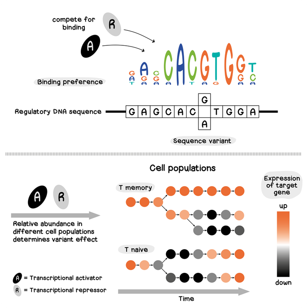 Seq2cell Figure2 V