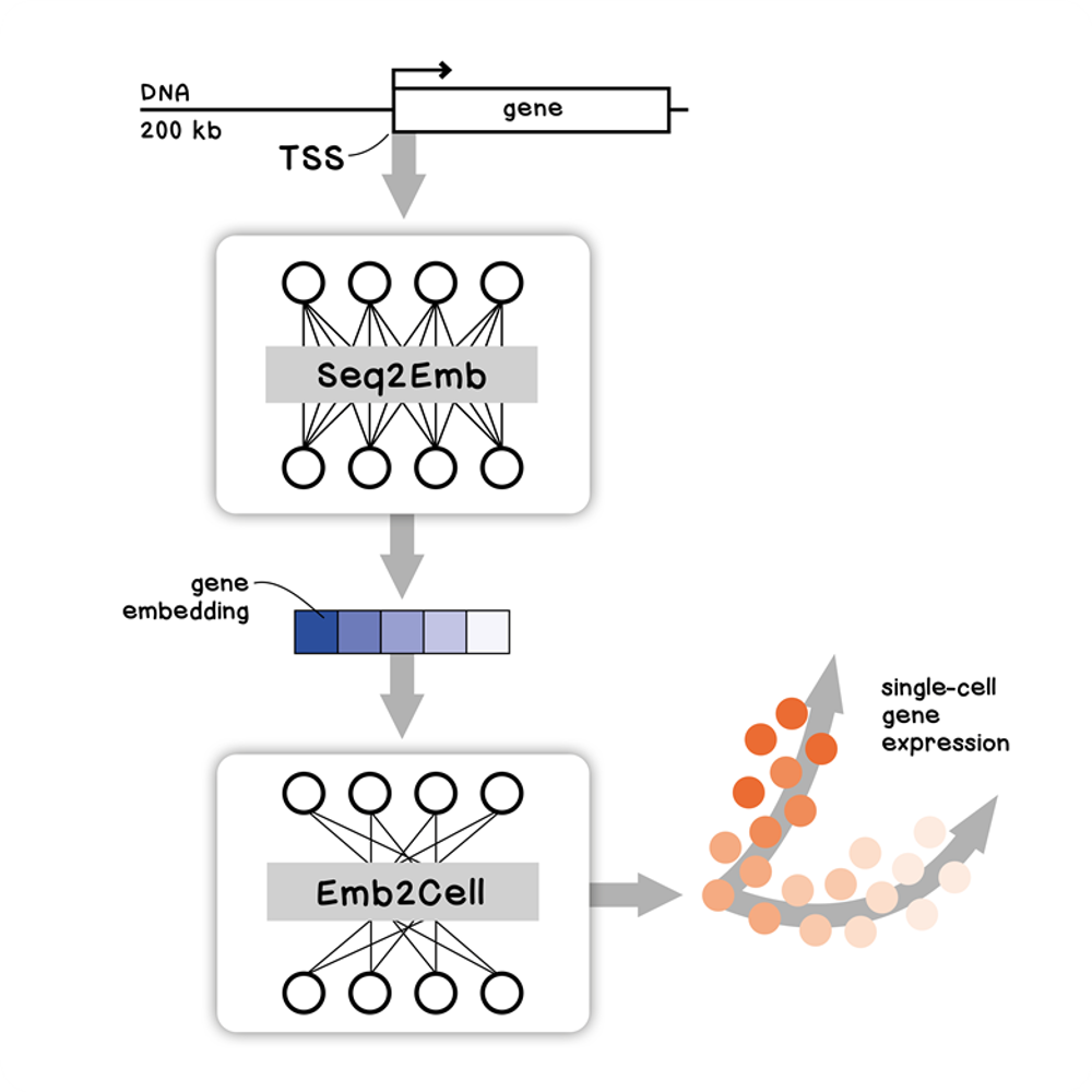 Seq2cell Figure1